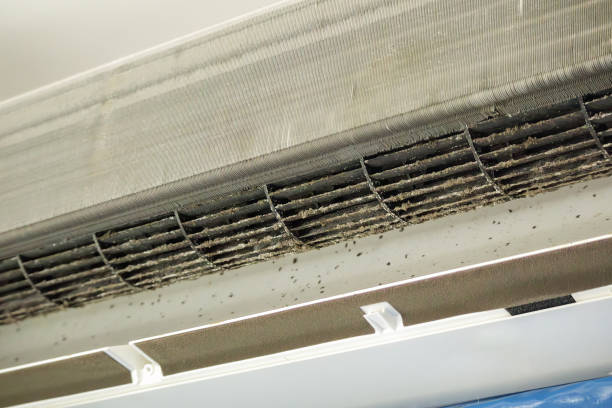Best Commercial HVAC Duct Cleaning  in La Follette, TN