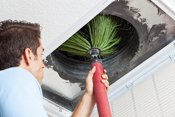 Best Local Air Duct Cleaning Services  in La Follette, TN